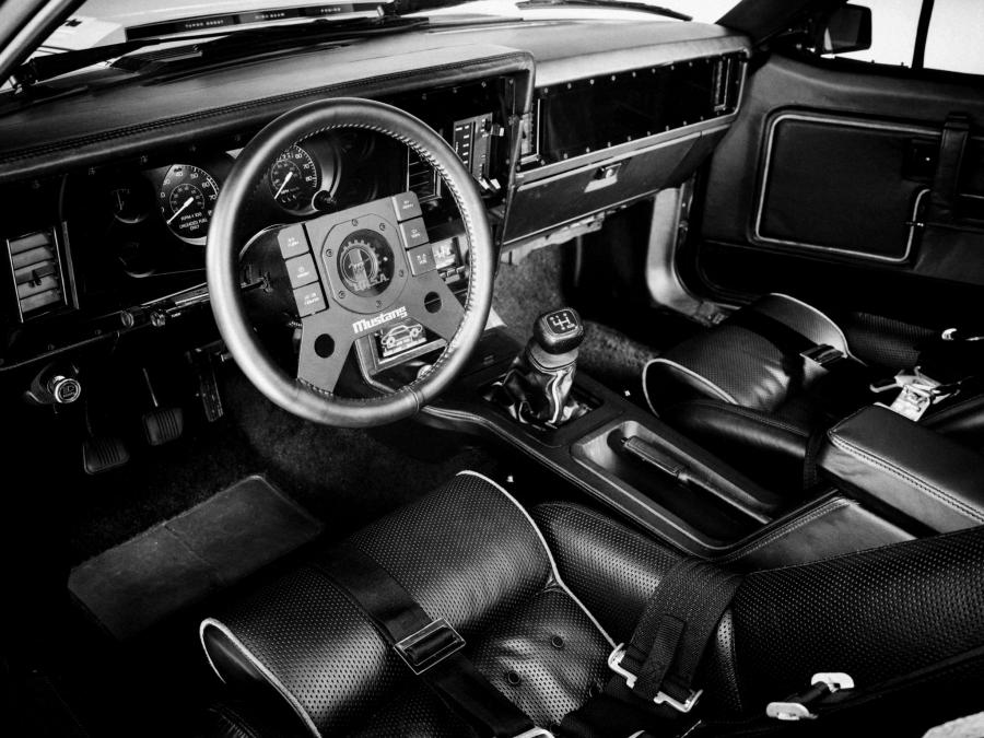  Ford Mustang IMSA 1979 года  (фото 3 из 3)